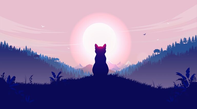 🖤 Przestańmy straszyć czarnymi kotami! O tym, dlaczego „Black Cat” nie jest słówkiem na Halloween 🙅‍♀️